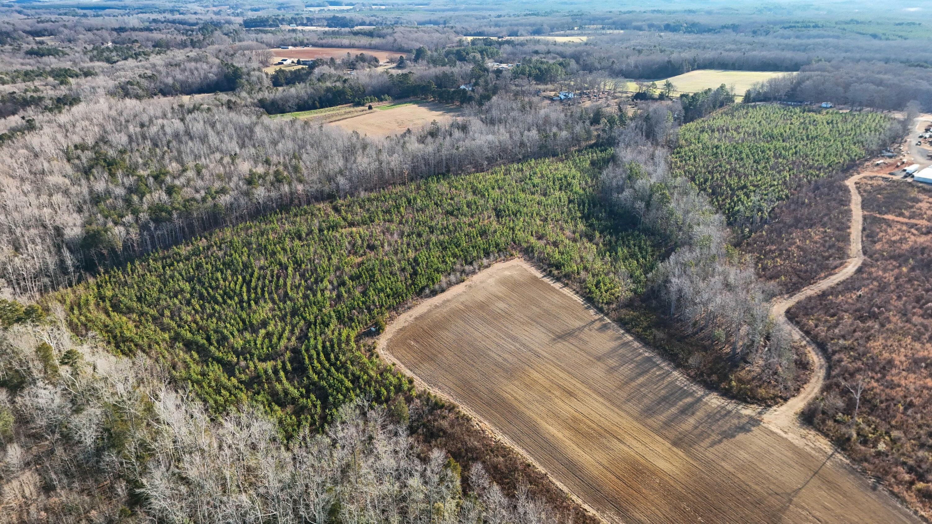 2 Trottinridge Road Chase City, VA 23924 - Photo 4 of 11 03