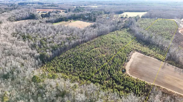 a view of a dry yard with trees
