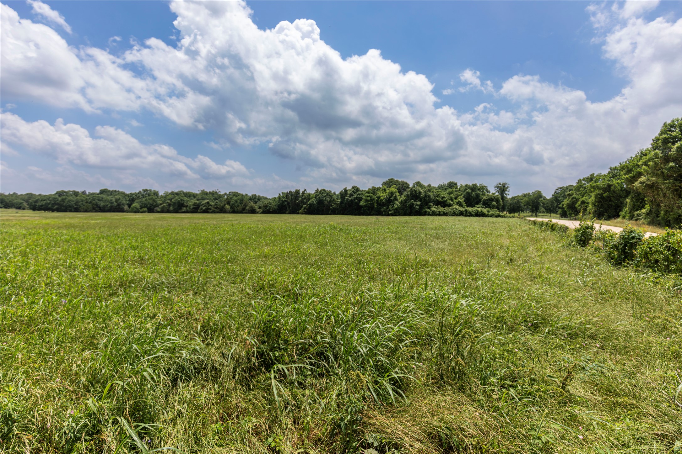 0 Skalak Road Bellville, TX 77418 - Photo 6 of 11