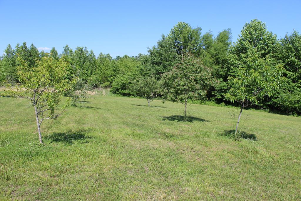 820 Modest Creek Road Victoria, VA 23974 - Photo 25 of 32 Gallery Image 25