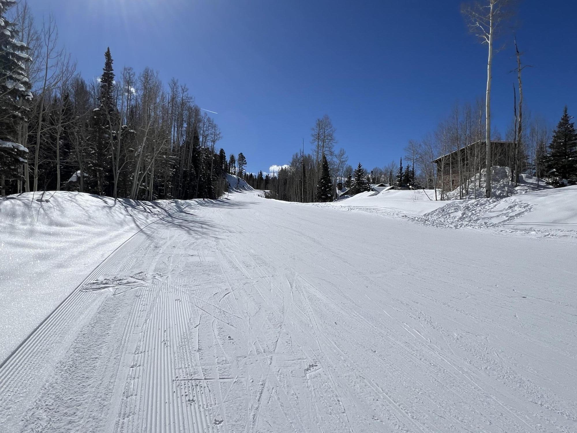 Tbd Benchmark Drive Mountain Village, CO 81435 - Photo 16 of 20 a view of a backyard with snow