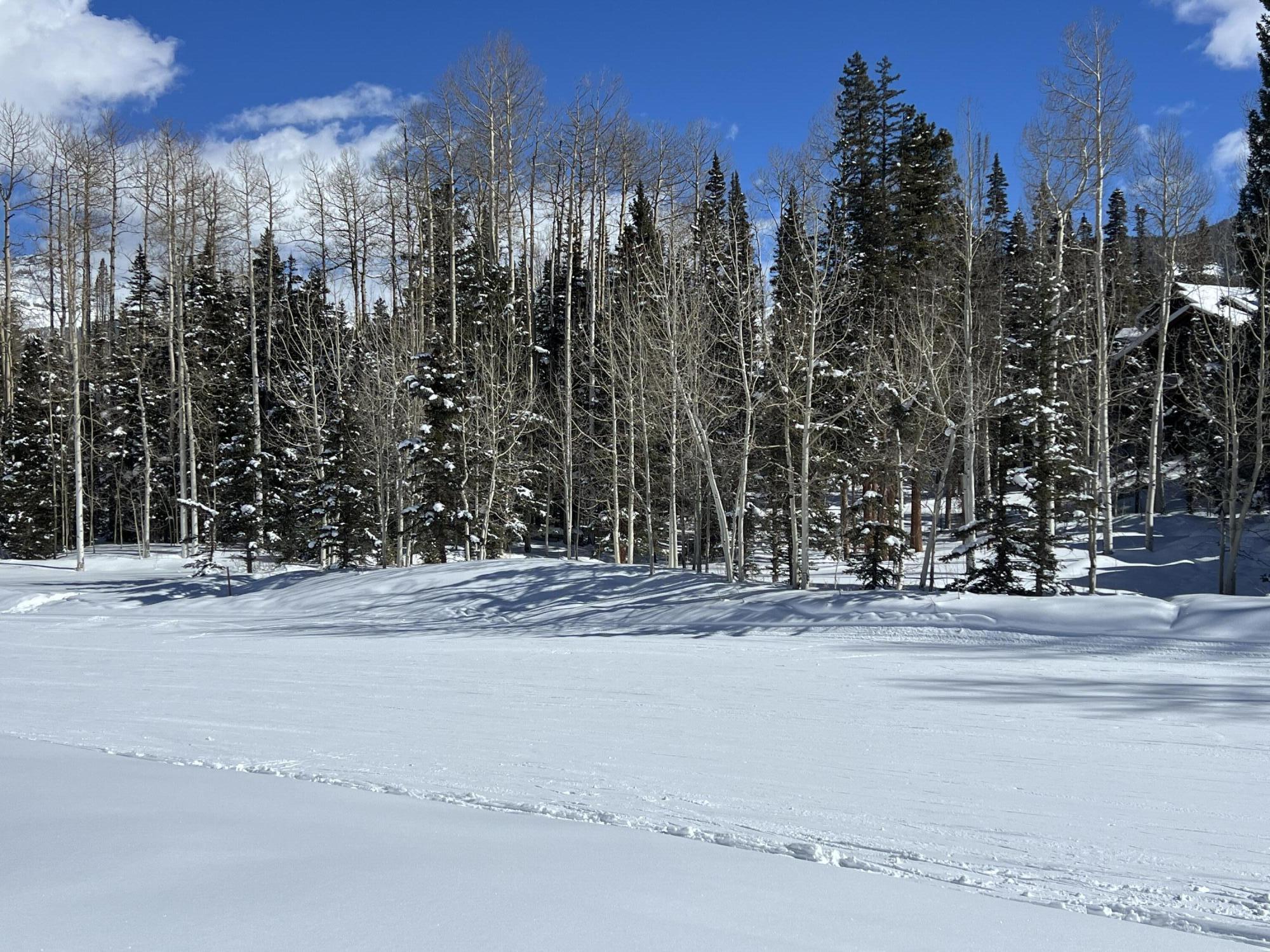 Tbd Benchmark Drive Mountain Village, CO 81435 - Photo 2 of 20 a view of a building with trees