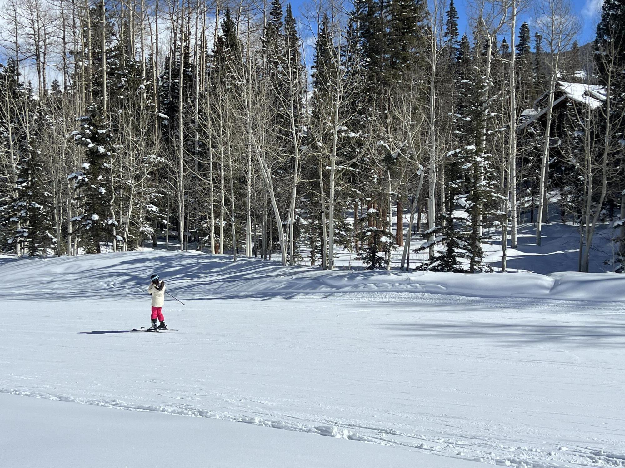 Tbd Benchmark Drive Mountain Village, CO 81435 - Photo 6 of 20 a street view