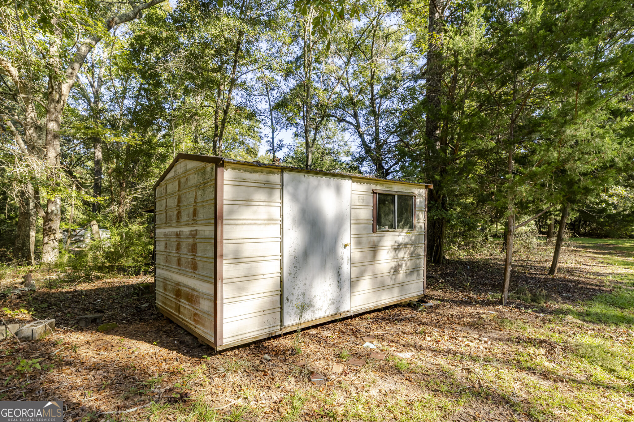 557 Green Road Ellaville, GA 31806 - Photo 11 of 45 Gallery Image 11