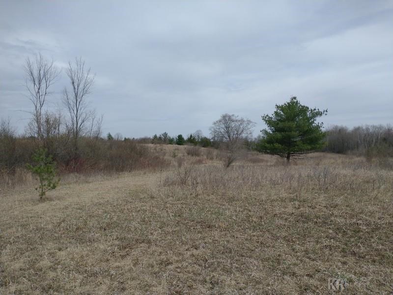 50-acres Sugar River Road Gladwin, MI 48624 - Photo 29 of 29