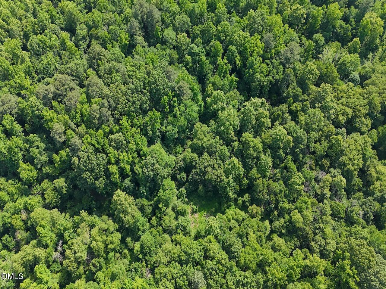 0 Tar River Road Oxford, NC 27565 - Photo 12 of 34 12