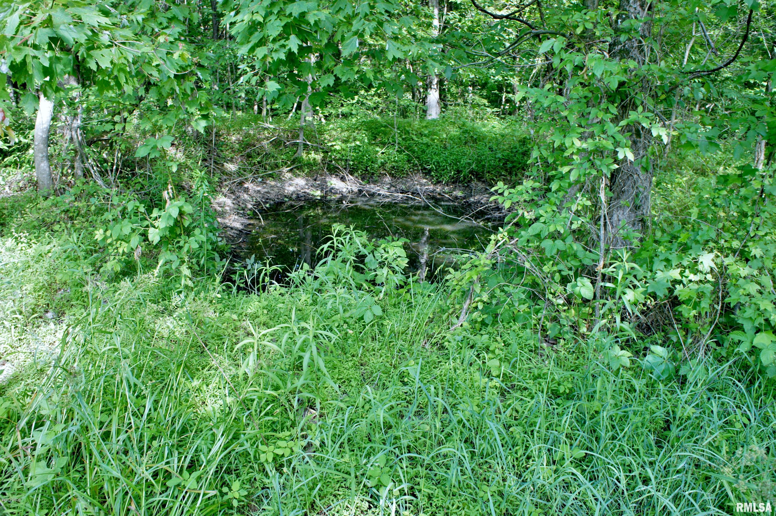 Tbd Packentuck Road Ozark, IL 62972 - Photo 11 of 16 Gallery Image 11