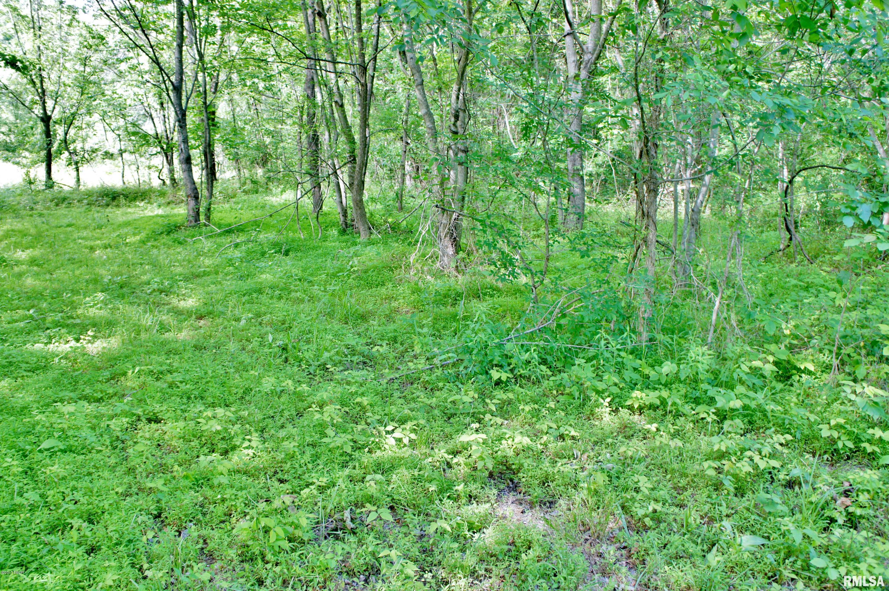 Tbd Packentuck Road Ozark, IL 62972 - Photo 12 of 16 Gallery Image 12