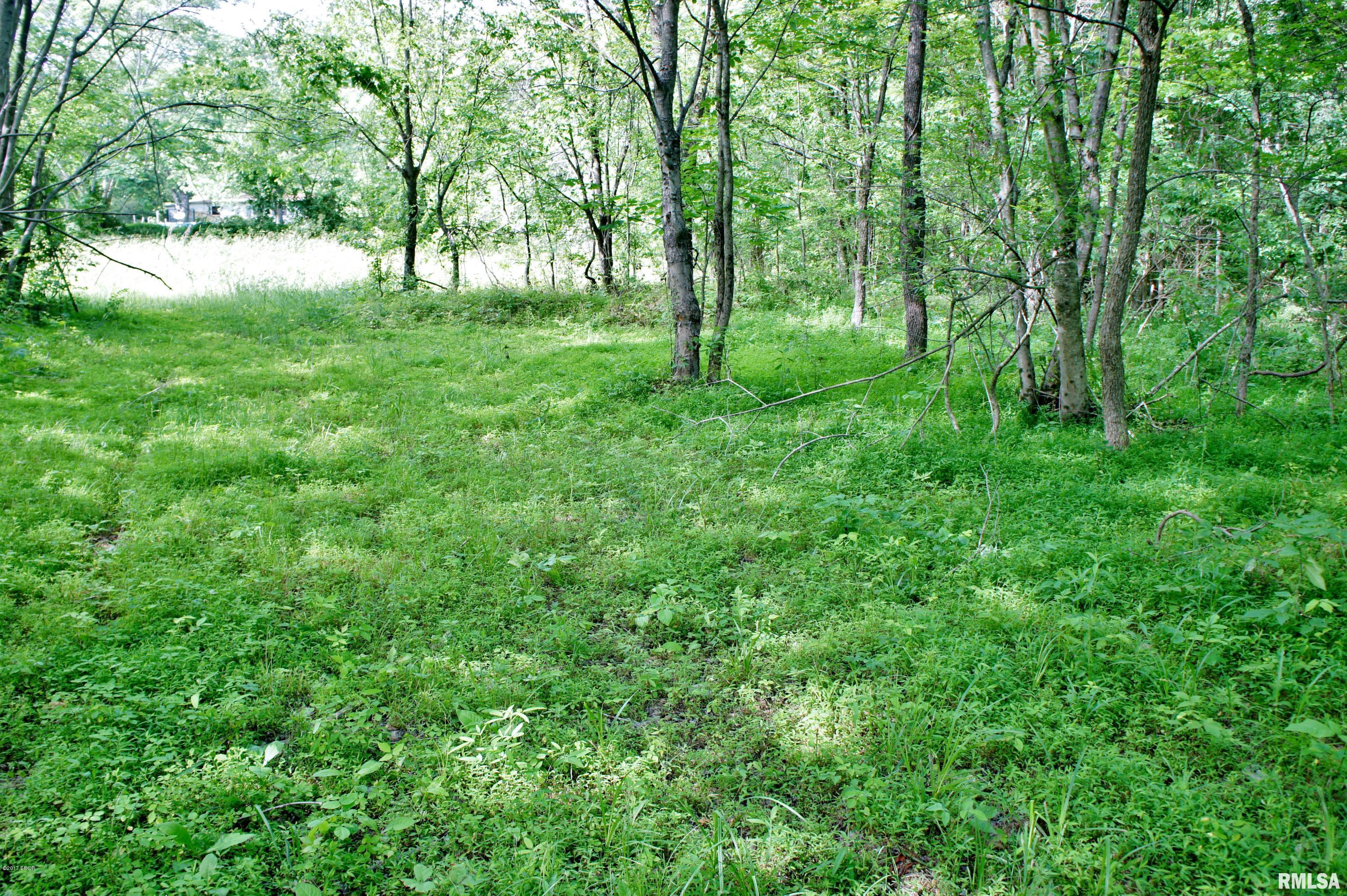 Tbd Packentuck Road Ozark, IL 62972 - Photo 13 of 16 Gallery Image 13