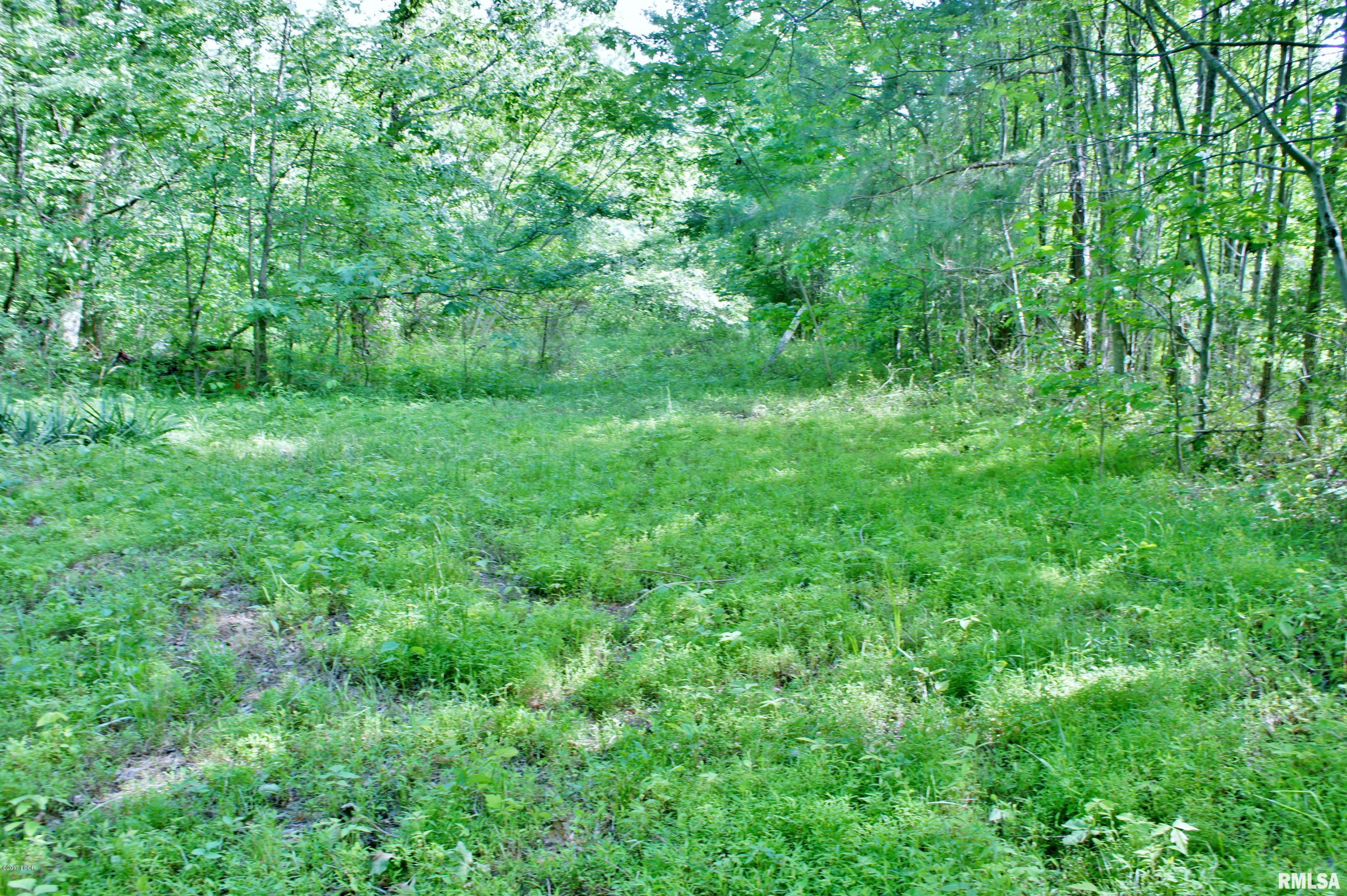 Tbd Packentuck Road Ozark, IL 62972 - Photo 14 of 16 Gallery Image 14