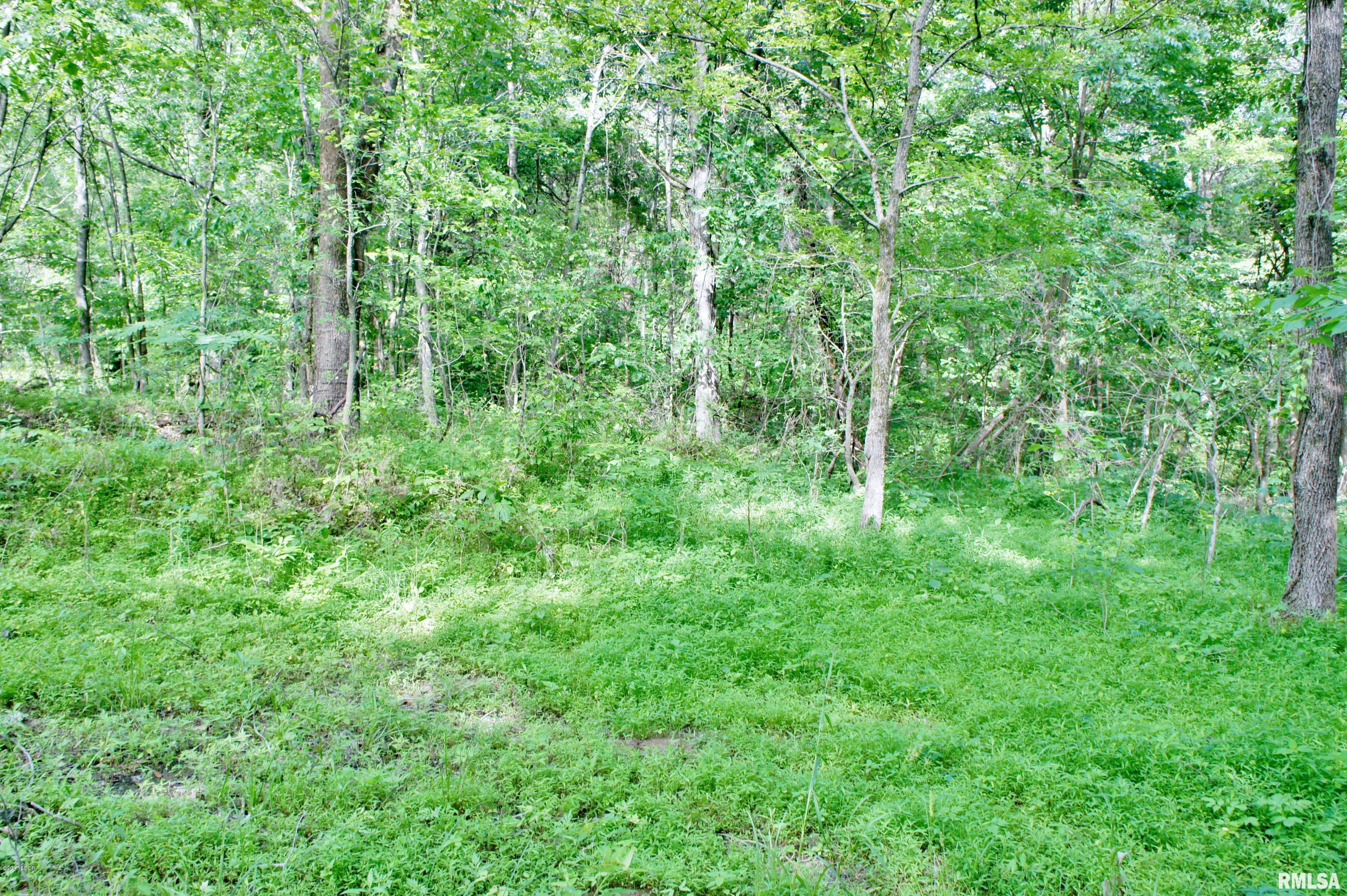 Tbd Packentuck Road Ozark, IL 62972 - Photo 15 of 16 Gallery Image 15