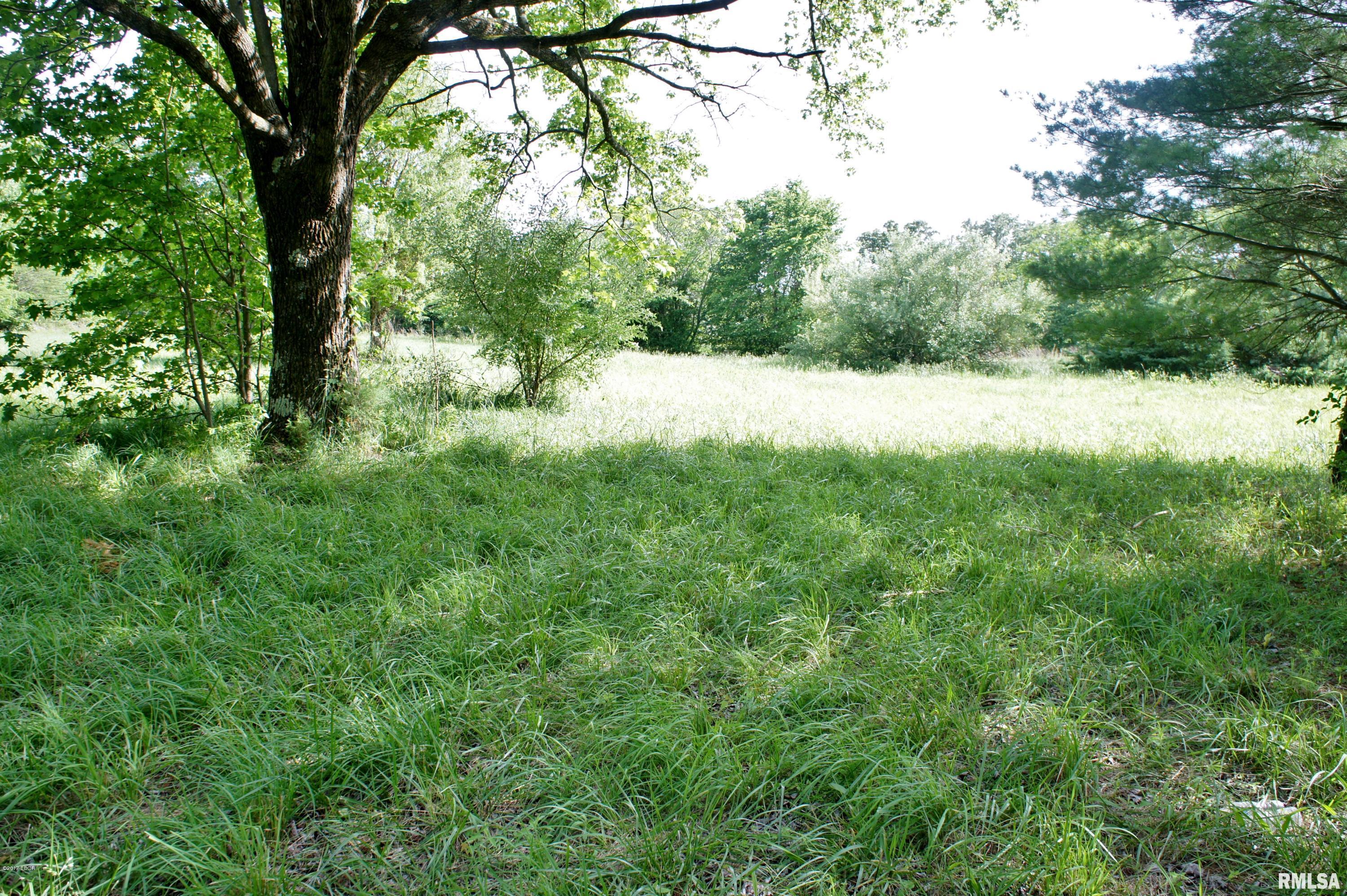 Tbd Packentuck Road Ozark, IL 62972 - Photo 2 of 16 Gallery Image 2