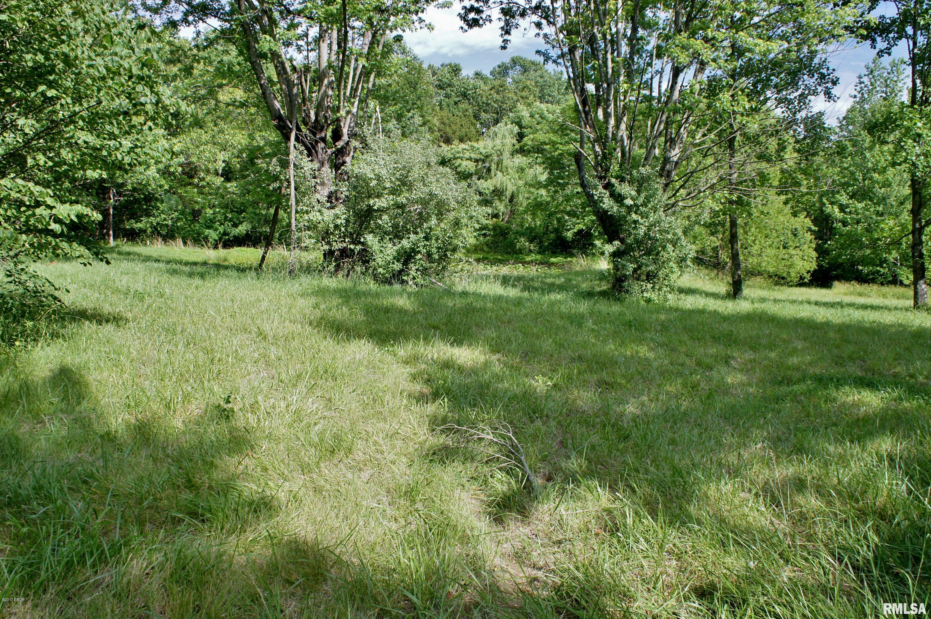 Tbd Packentuck Road Ozark, IL 62972 - Photo 3 of 16 Gallery Image 3