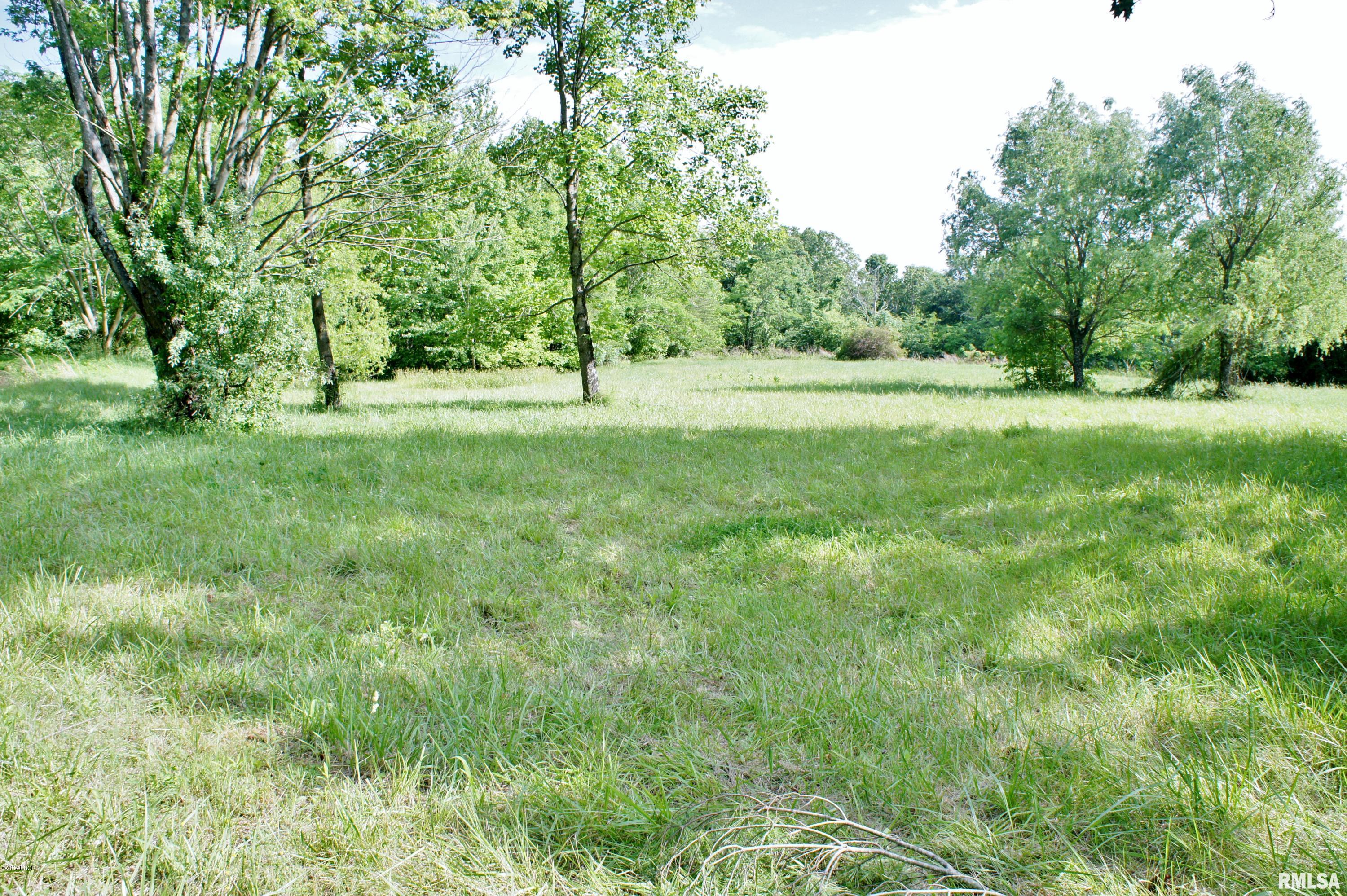 Tbd Packentuck Road Ozark, IL 62972 - Photo 4 of 16 Gallery Image 4