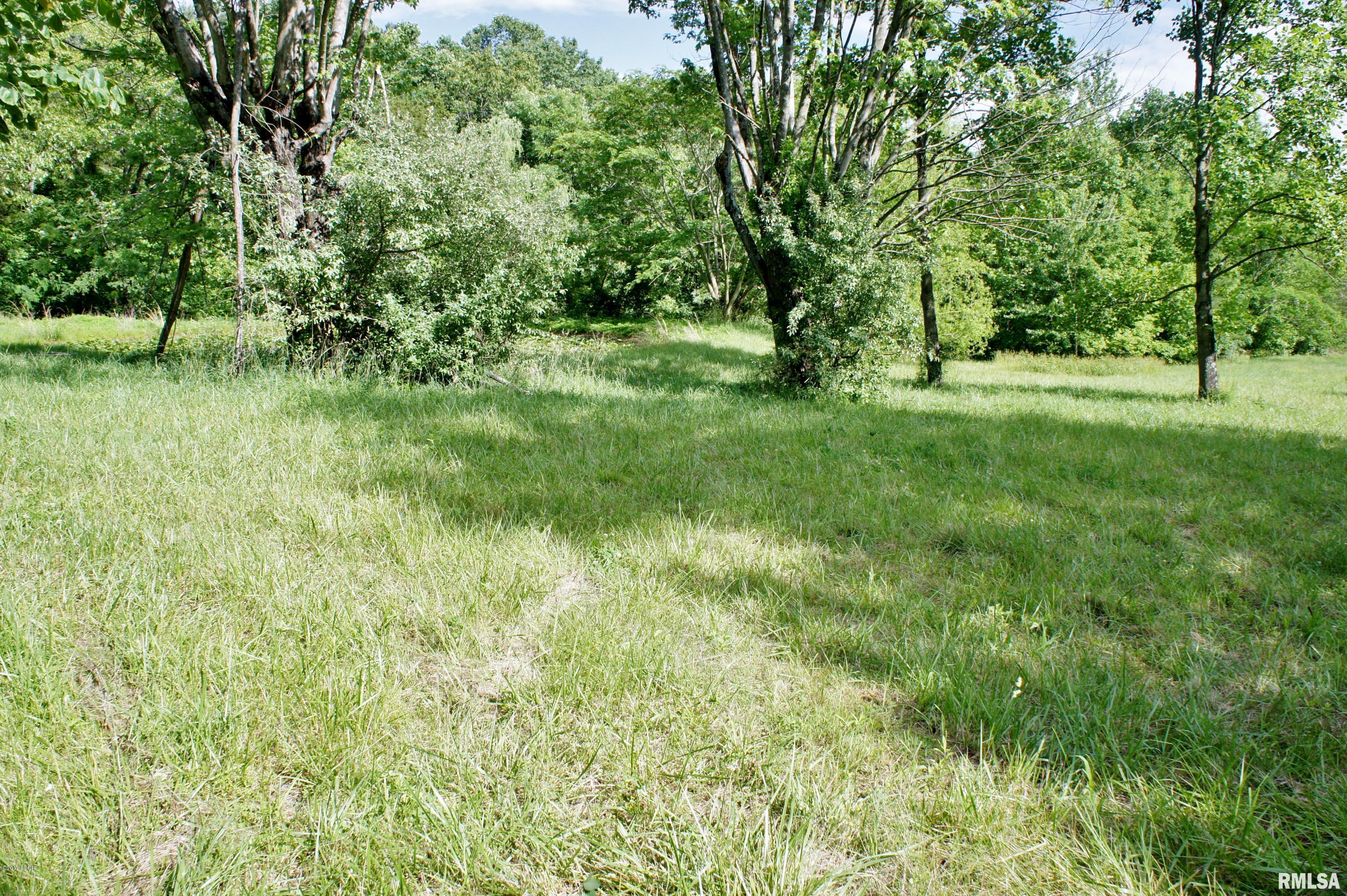 Tbd Packentuck Road Ozark, IL 62972 - Photo 6 of 16 Gallery Image 6