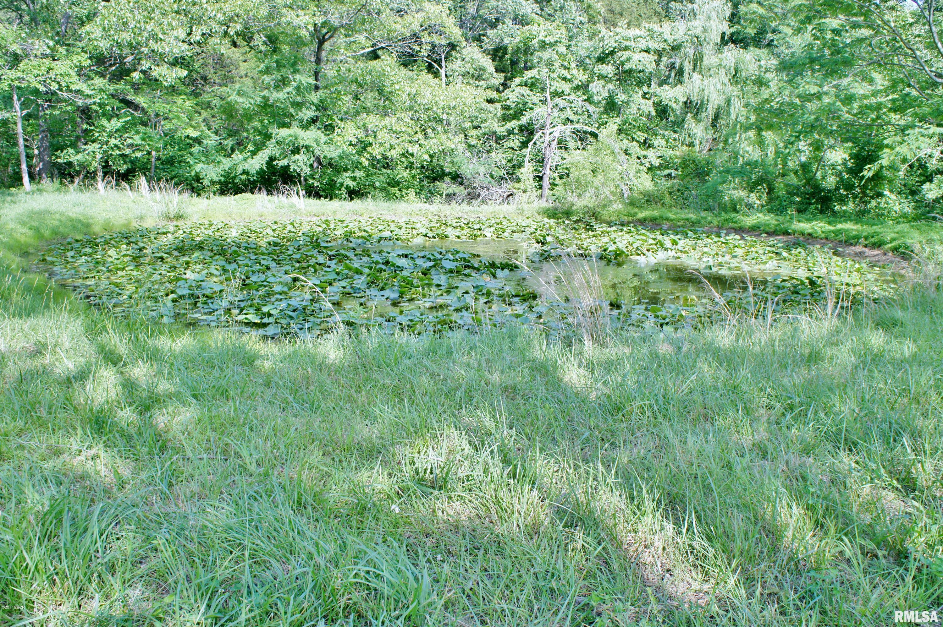 Tbd Packentuck Road Ozark, IL 62972 - Photo 9 of 16 Gallery Image 9