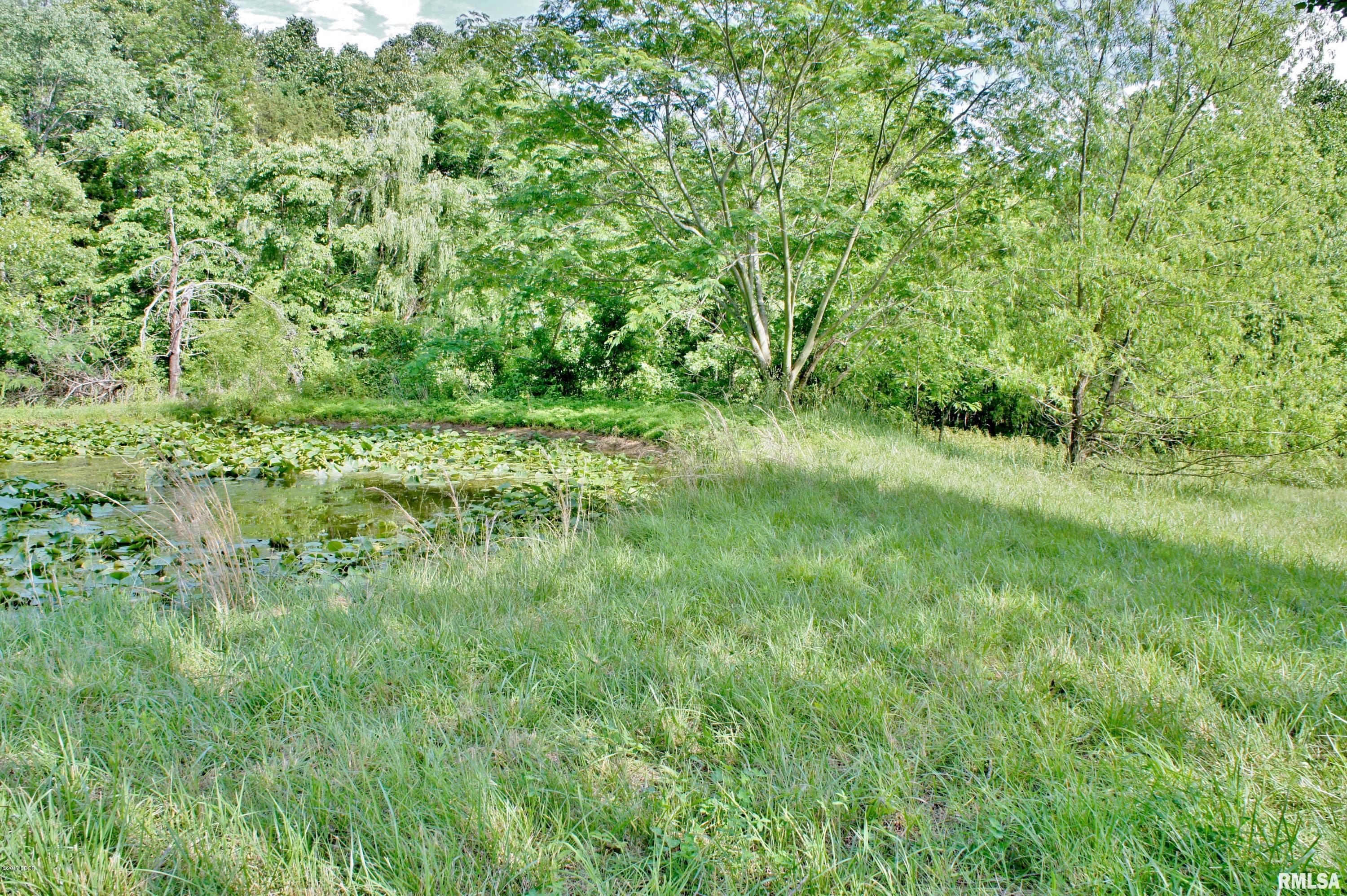 Tbd Packentuck Road Ozark, IL 62972 - Photo 10 of 16 Gallery Image 10