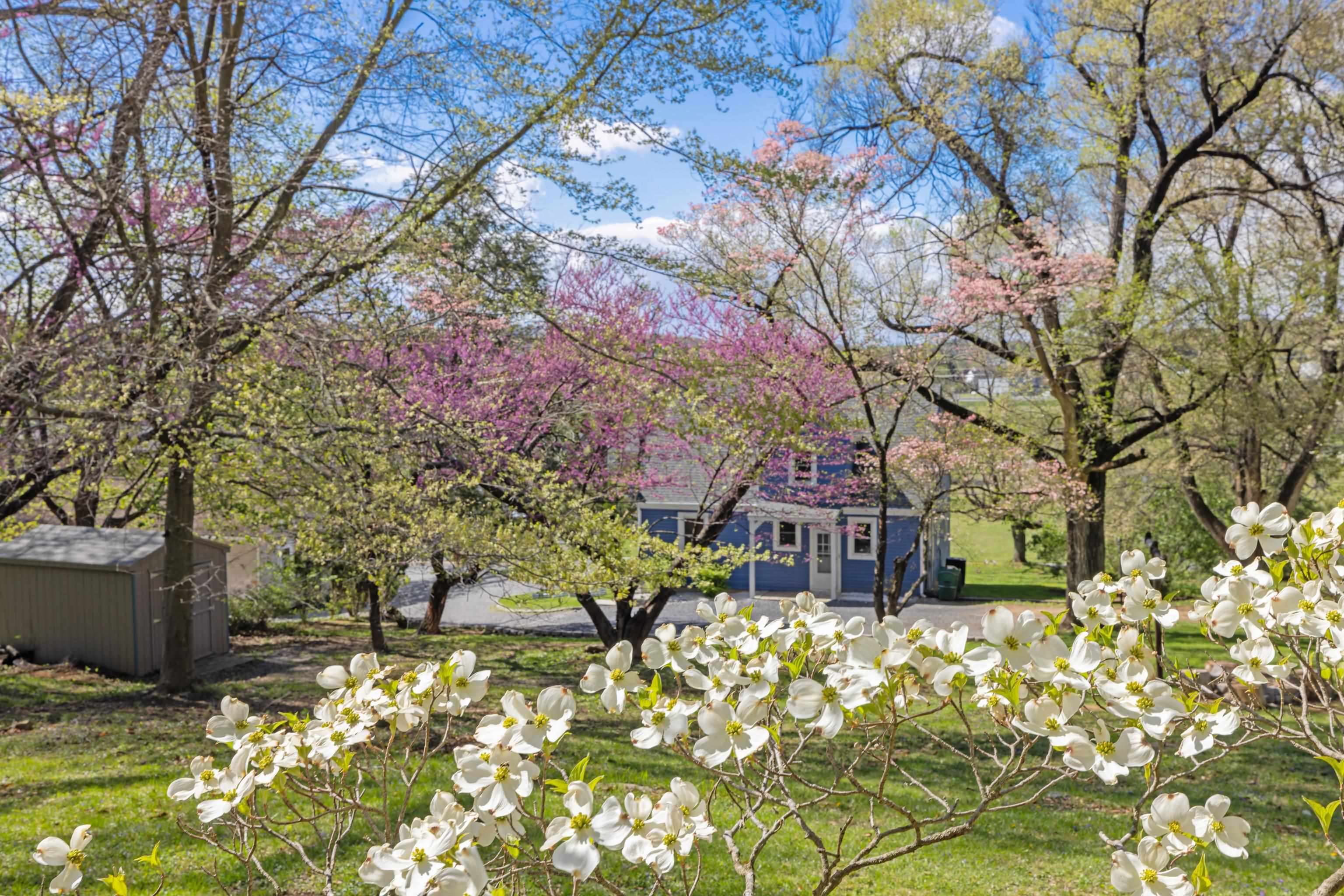 244 Bookerdale Road Waynesboro, VA 22980 - Photo 45 of 54 Gallery Image 45