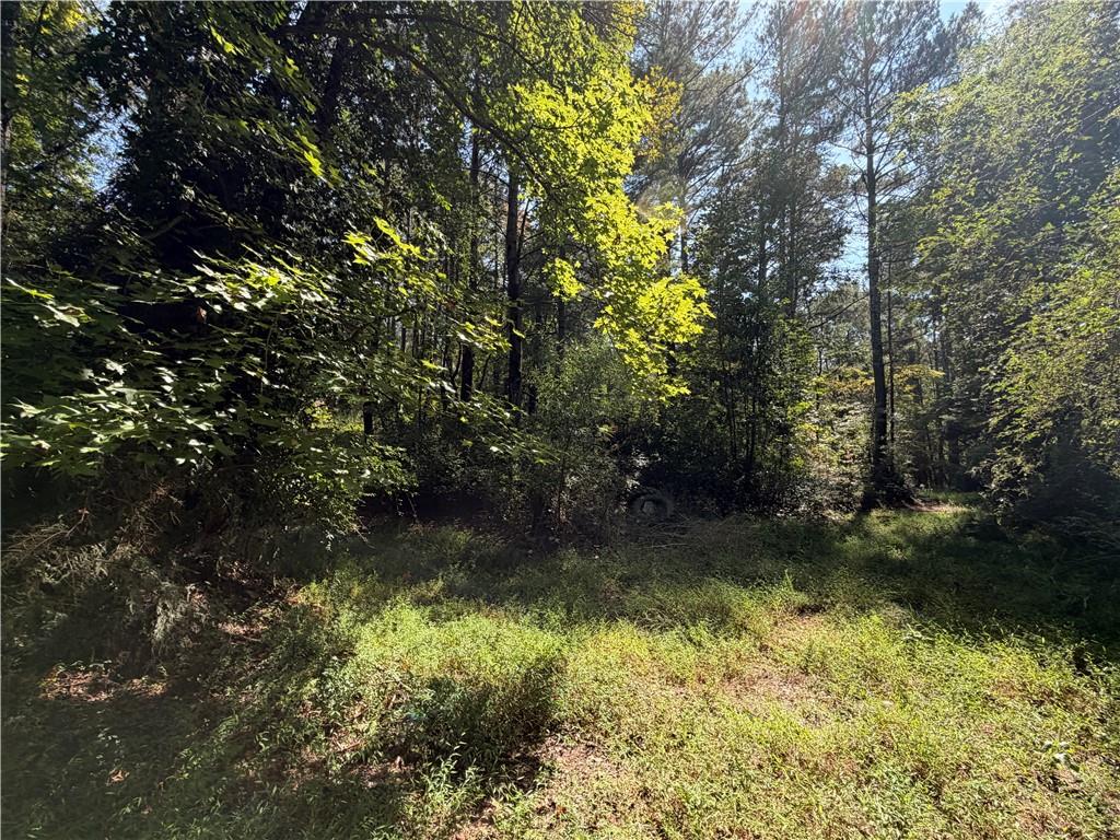 761 Roscoe Collette Road Dawsonville, GA 30534 - Photo 19 of 20 Gallery Image 19