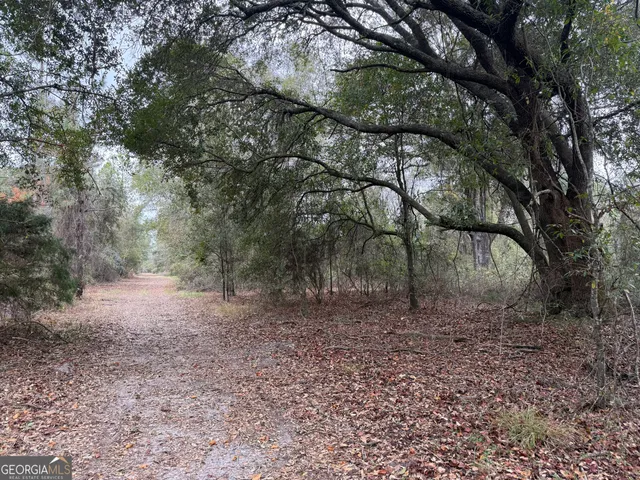 $375,000 | 6911 Old Hortense Road, Hortense, GA 31543