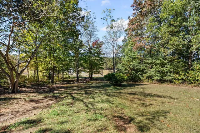 a backyard of a house with large trees