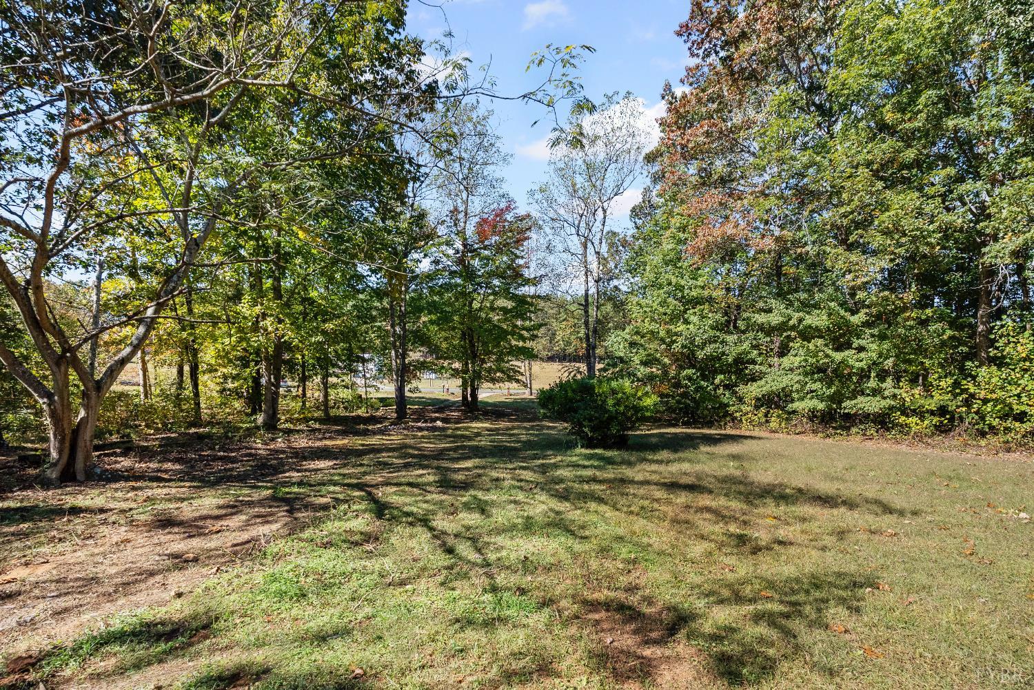 509 Oak Hill Road Prospect, VA 23960 - Photo 27 of 41 a backyard of a house with large trees
