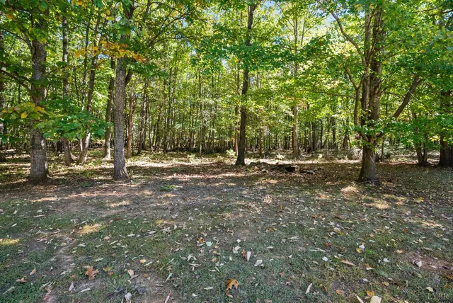 a view of outdoor space with trees