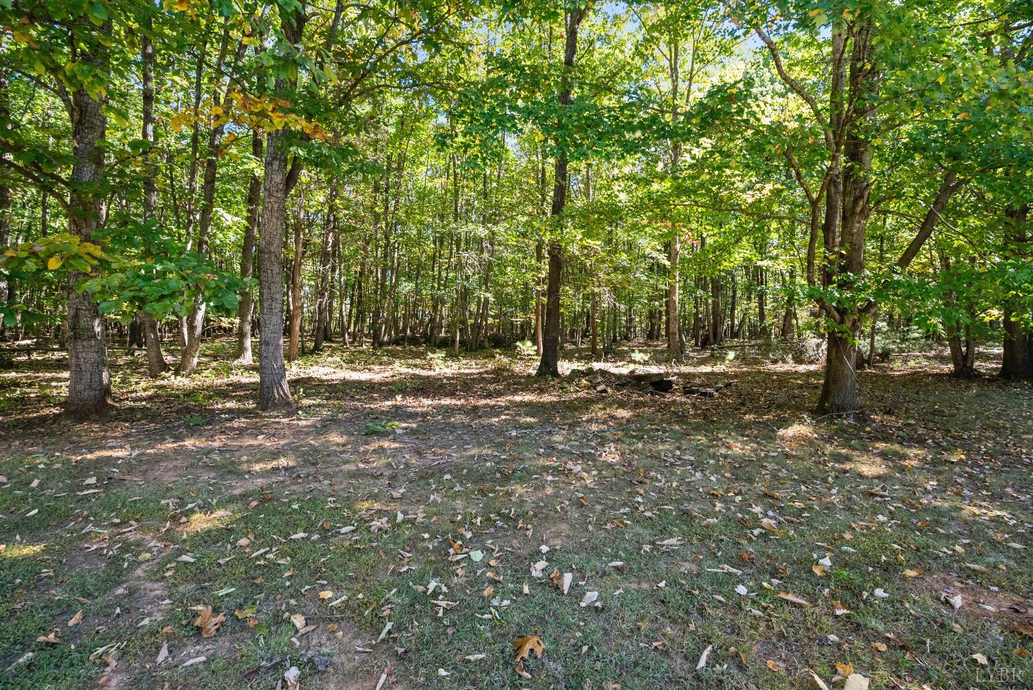 509 Oak Hill Road Prospect, VA 23960 - Photo 32 of 41 a view of outdoor space with trees