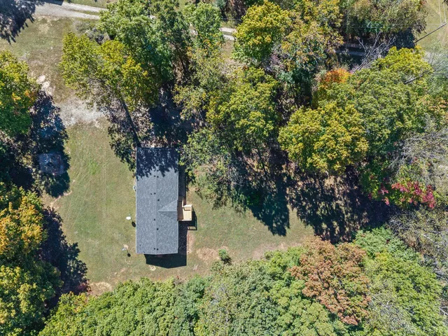 view of a tree with a yard