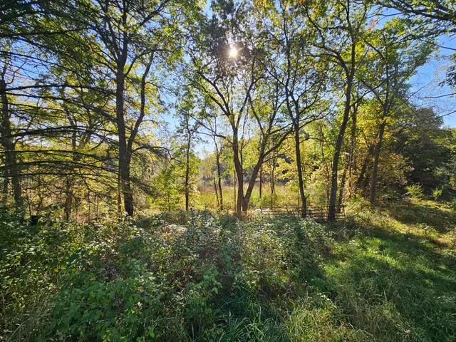 $275,000 | 13333 Trinkle Road, Chelsea, MI 48118