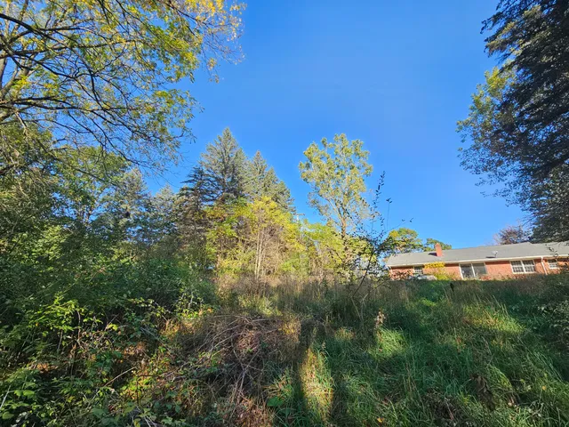 $275,000 | 13333 Trinkle Road, Chelsea, MI 48118