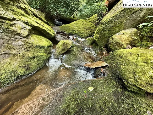 a view of a tree with a yard