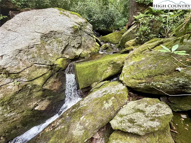 a view of a wooden floor and a yard