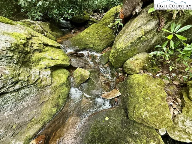 a view of a tree in a yard