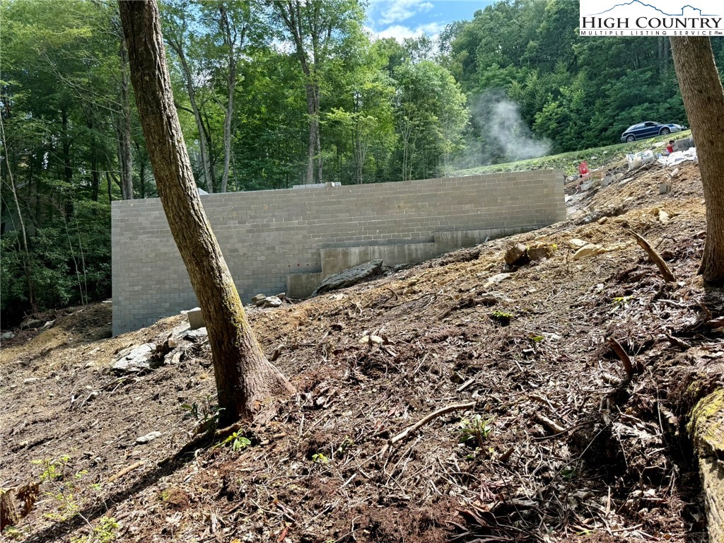 Lot 39 Mossy Creek Boone, NC 28607 - Photo 27 of 50 a view of a yard with a tree