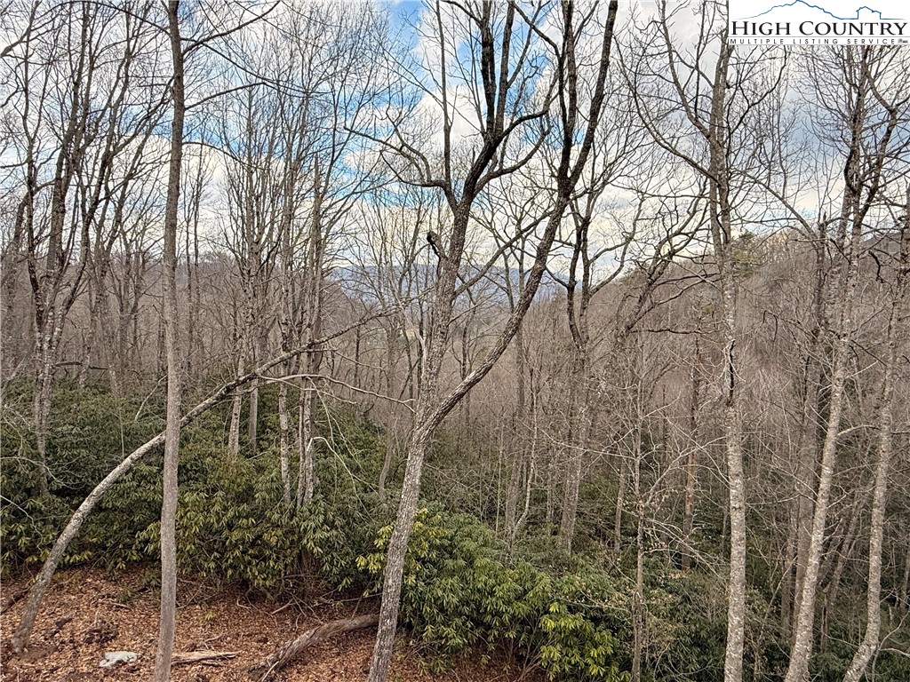 Lot 39 Mossy Creek Boone, NC 28607 - Photo 42 of 50 a view of a forest