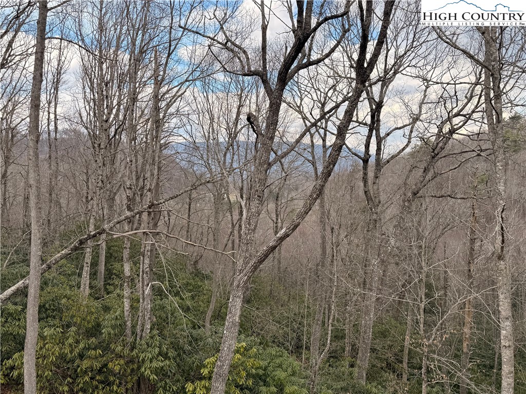 Lot 39 Mossy Creek Boone, NC 28607 - Photo 43 of 50 a backyard of a building with trees