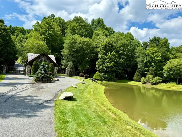 a view of a swimming pool with a yard and plants