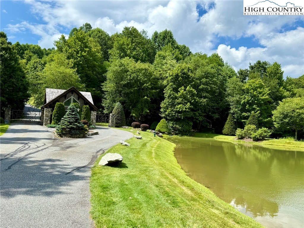 Lot 39 Mossy Creek Boone, NC 28607 - Photo 7 of 50 a view of a swimming pool with a yard and plants