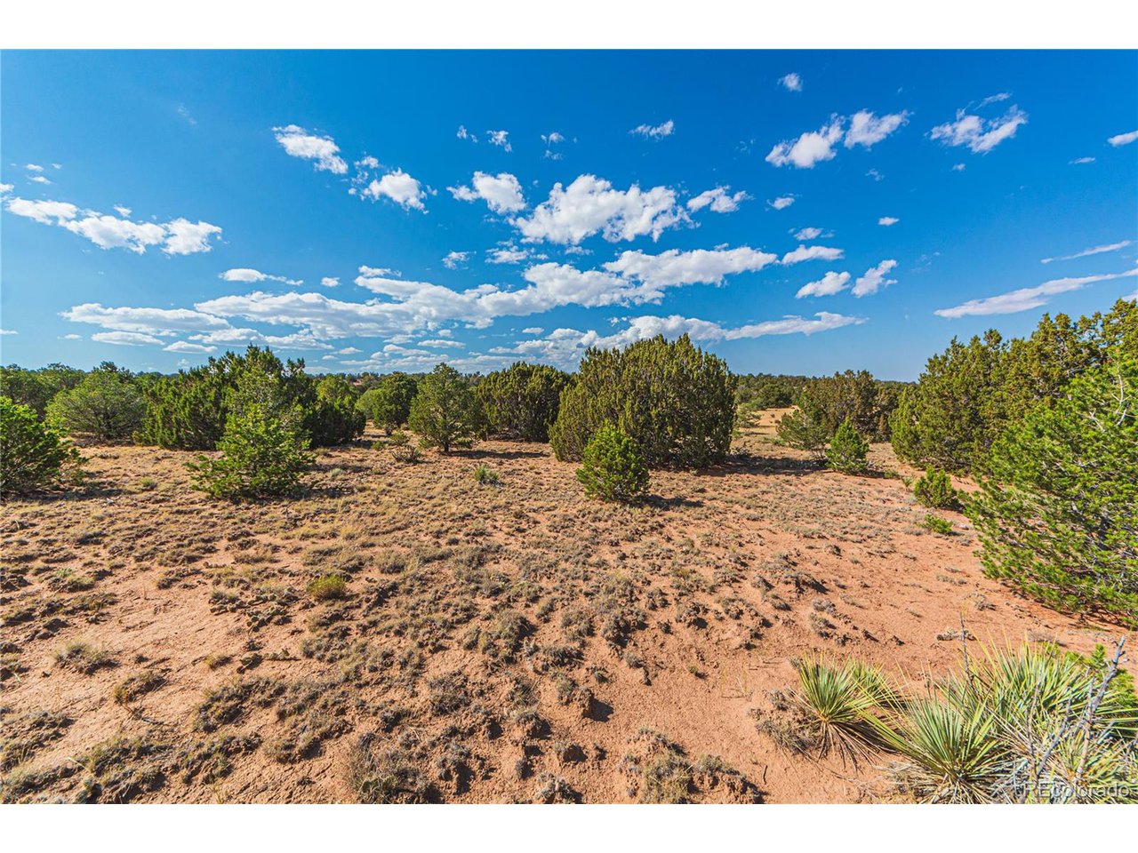 Twin Lakes Road Walsenburg, CO 81089 - Photo 4 of 40