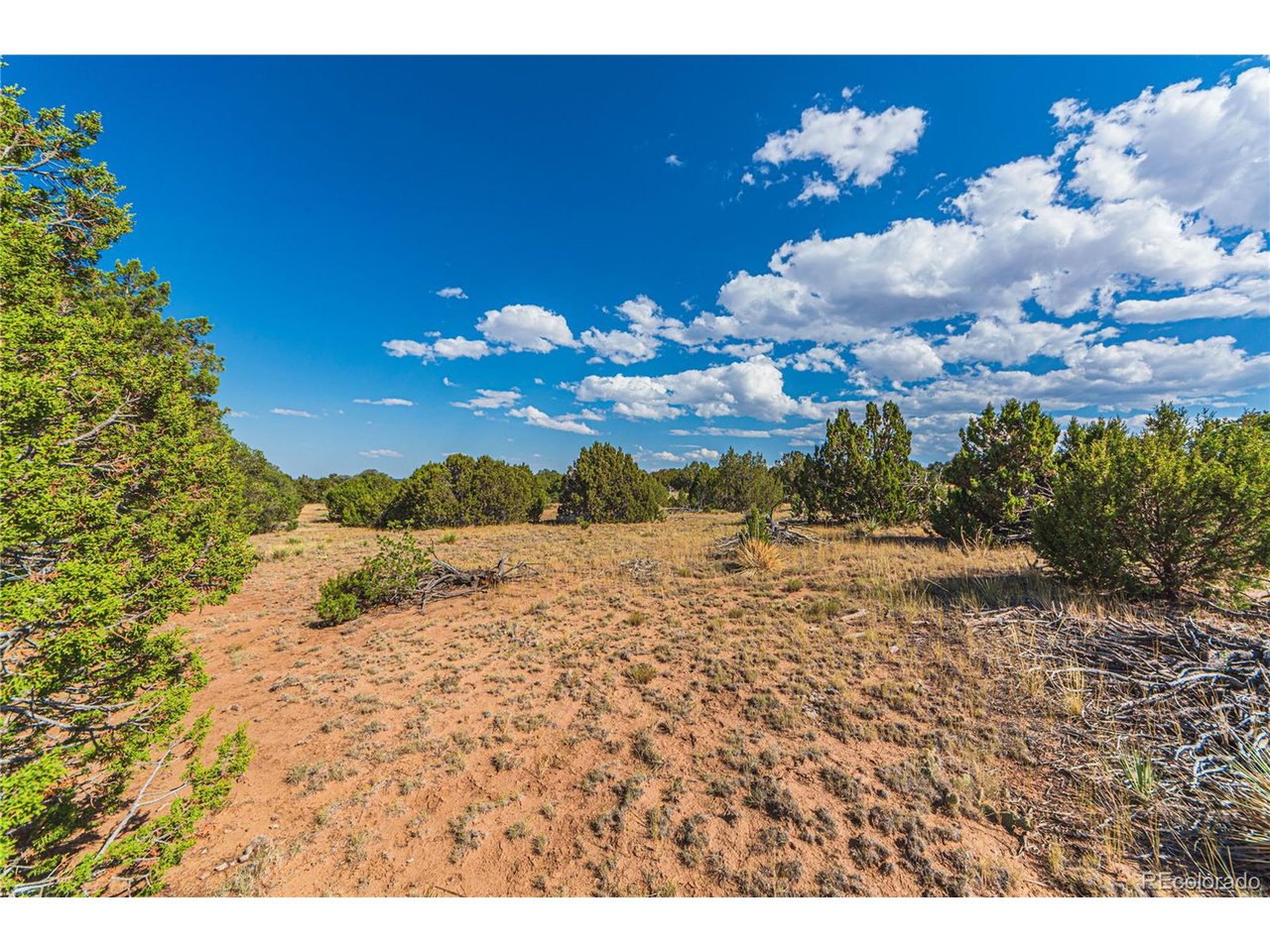 Twin Lakes Road Walsenburg, CO 81089 - Photo 5 of 40