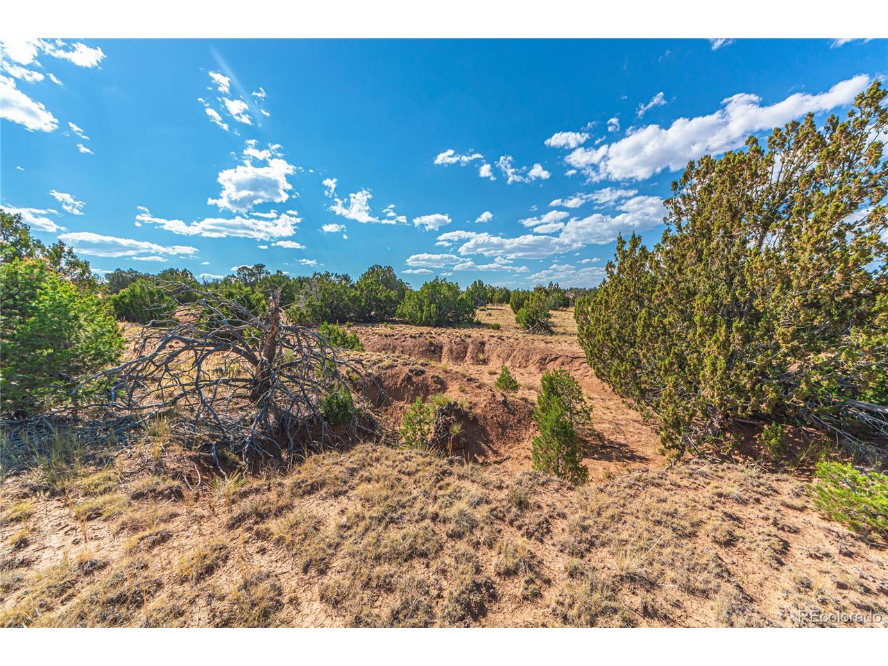 Twin Lakes Road Walsenburg, CO 81089 - Photo 6 of 40