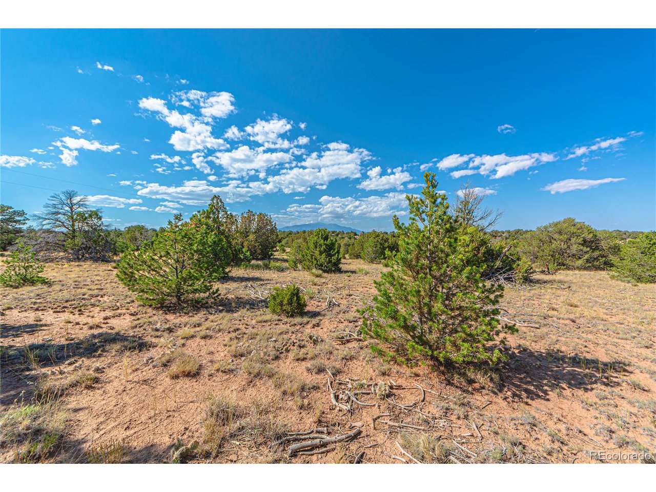 Twin Lakes Road Walsenburg, CO 81089 - Photo 7 of 40
