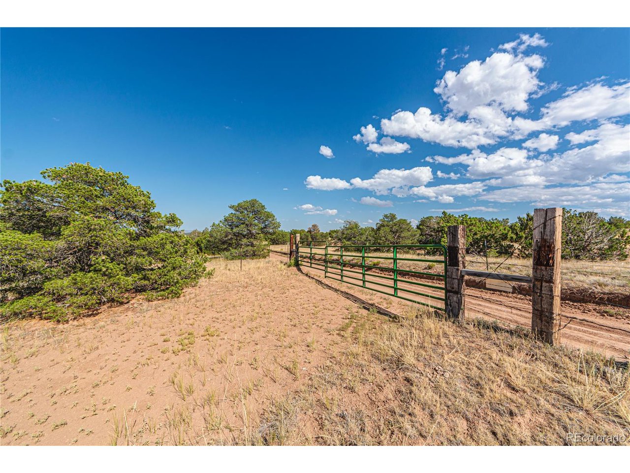 Twin Lakes Road Walsenburg, CO 81089 - Photo 8 of 40