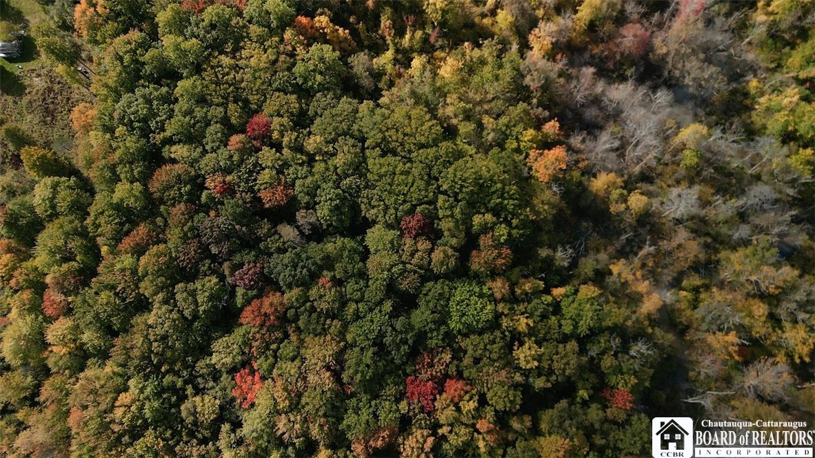 0 Urban Road Dunkirk, NY 14048 - Photo 7 of 13