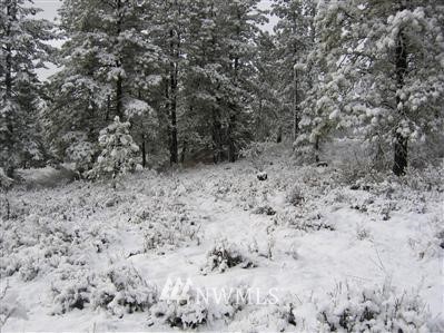 -xxx Nighthawk Ridge Road Winthrop, WA 98862 - Photo 1 of 1 Gallery Image 1