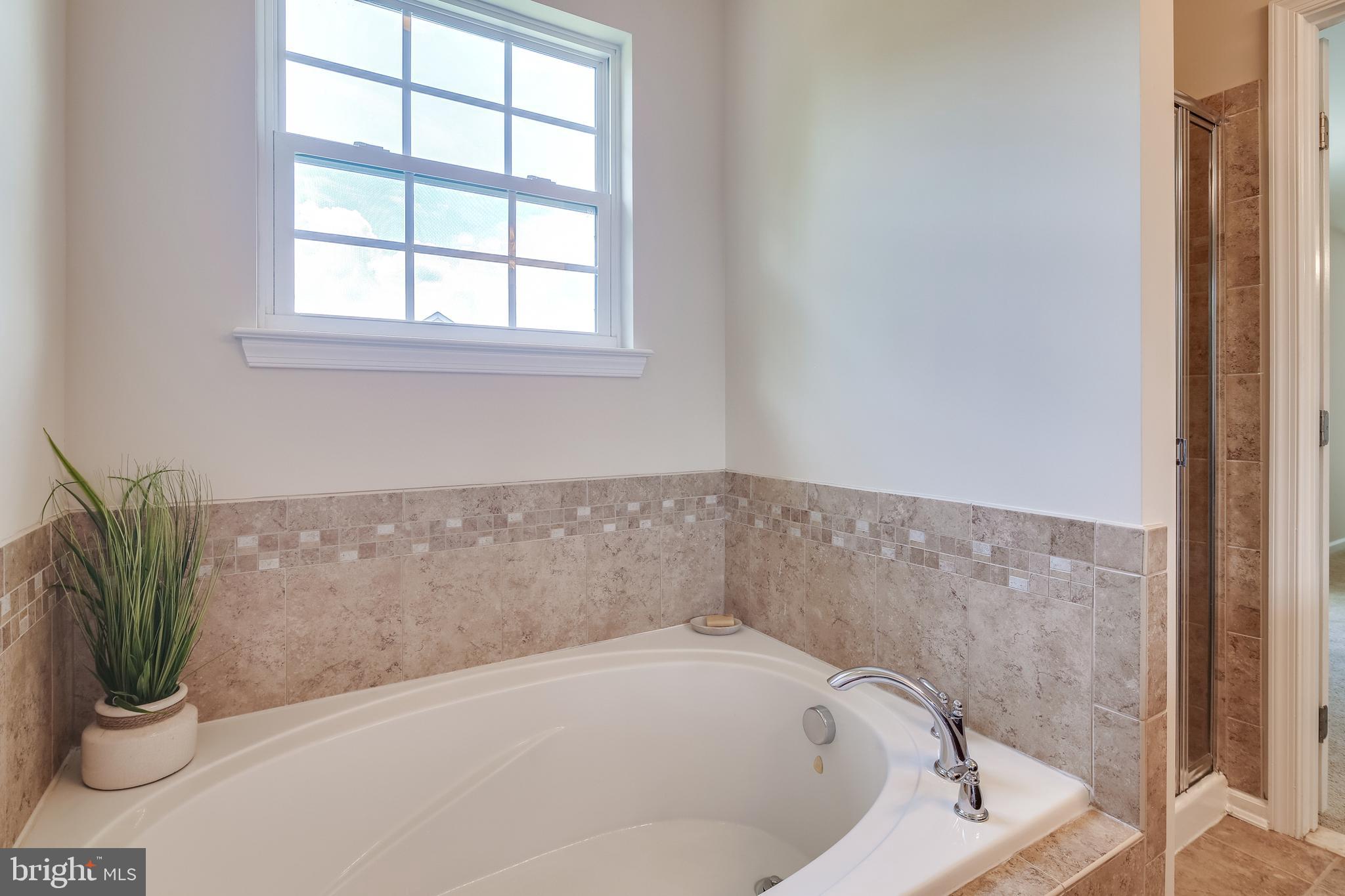 7162 Long View Road Columbia, MD 21044 - Photo 16 of 45 Owners bath