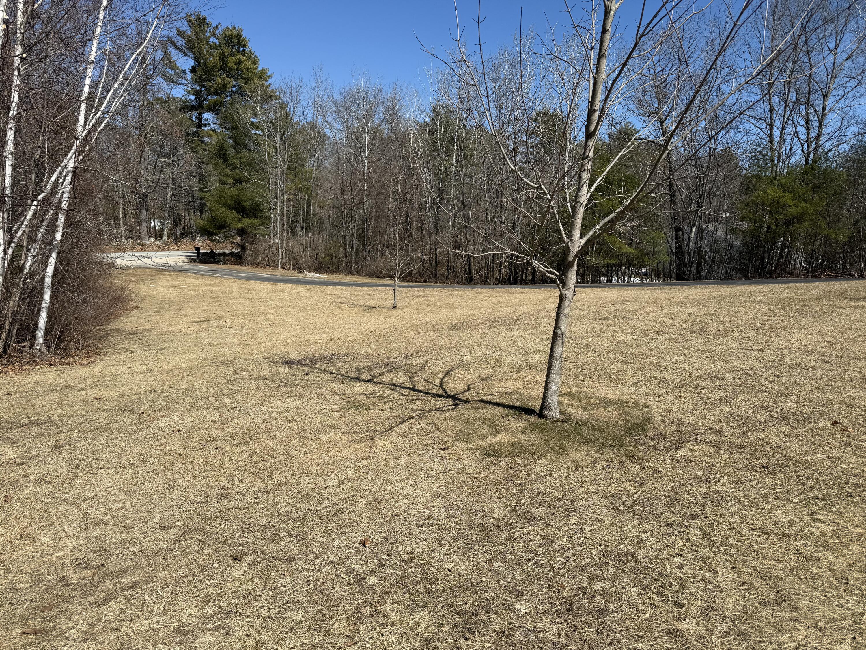 68 Deering Ridge Road Shapleigh, ME 04076 - Photo 53 of 53 Front yard