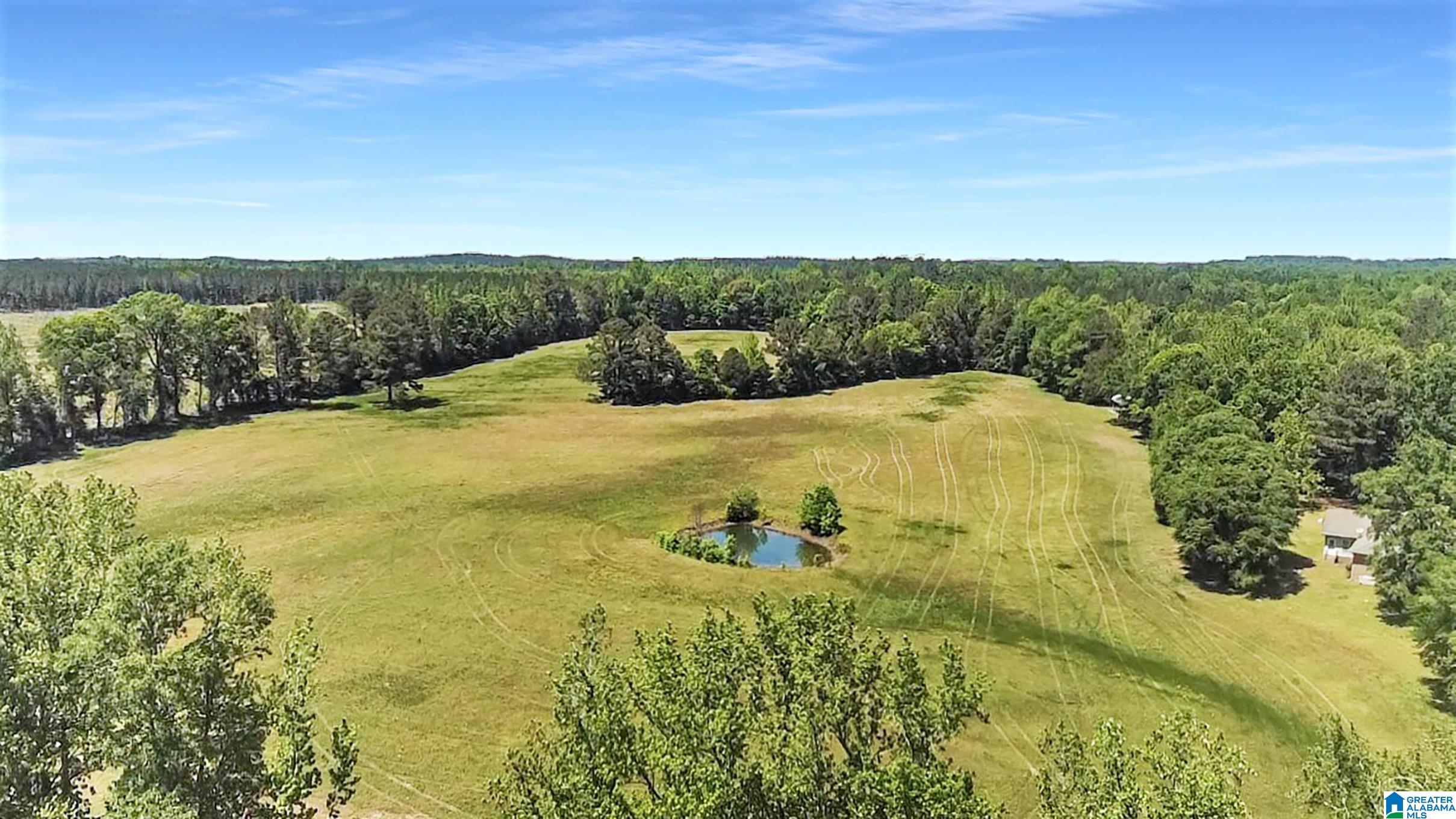 5133 Highway 36 Randolph Al Randolph, AL 36792 - Photo 36 of 36