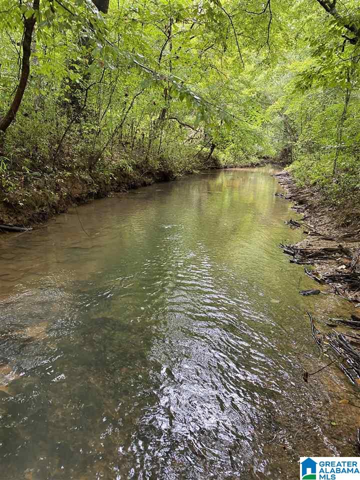 Bama Rock Garden Road Vance, AL 35490 - Photo 10 of 12